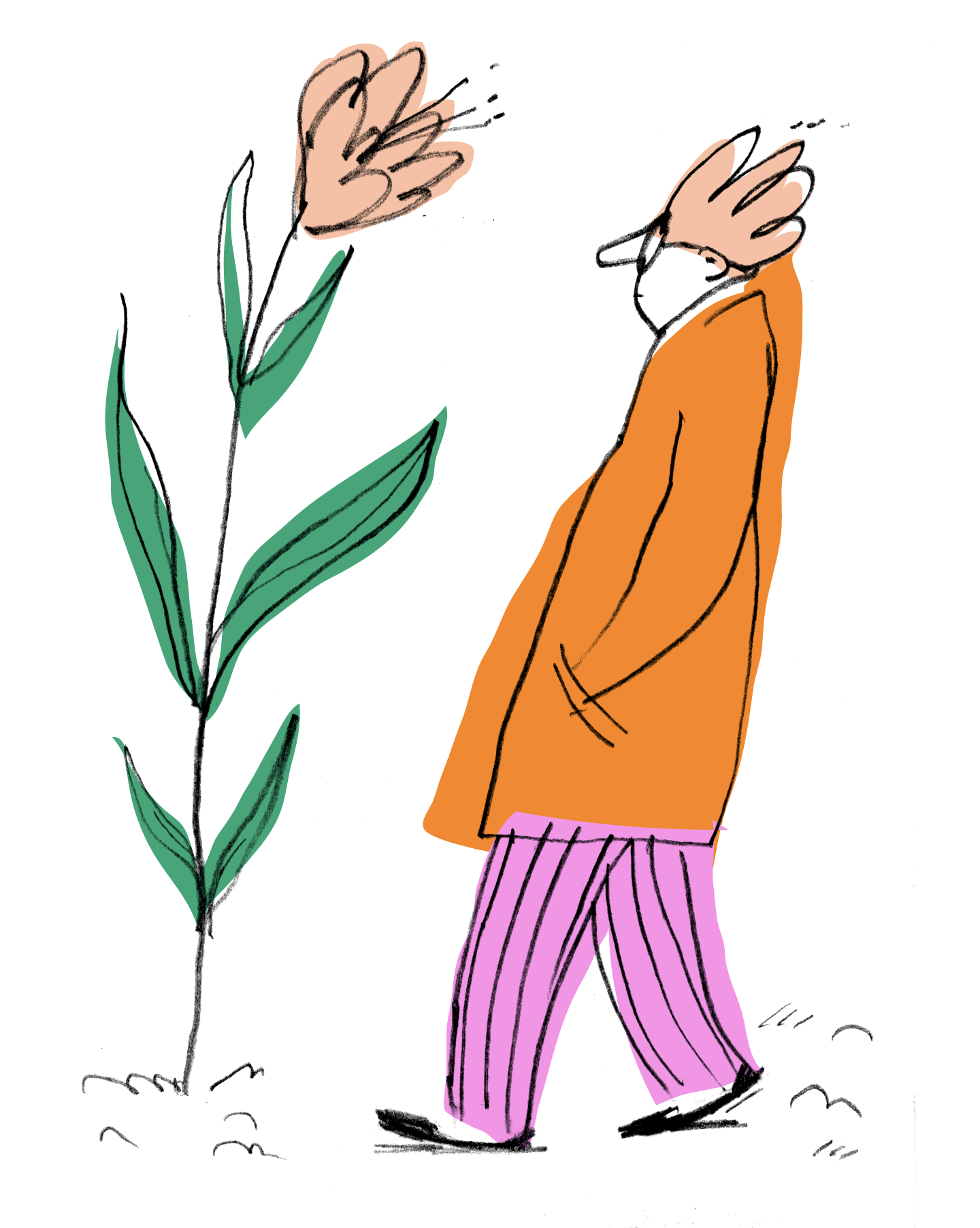 Illustration eines Spaziergängers und einer großen Blume - die Frisur des Spaziergängers ähnelt der Blüte der Blume