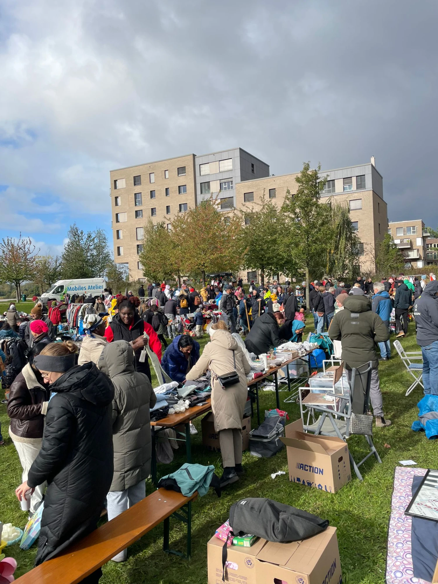 Auf der Wiese im Überseepark stehen viele Menschen. Es werden Flohmarktstände aufgebaut. Es sind einige Umzugszugskartons zu sehen und einige Menschen, die sich die Waren ansehen.