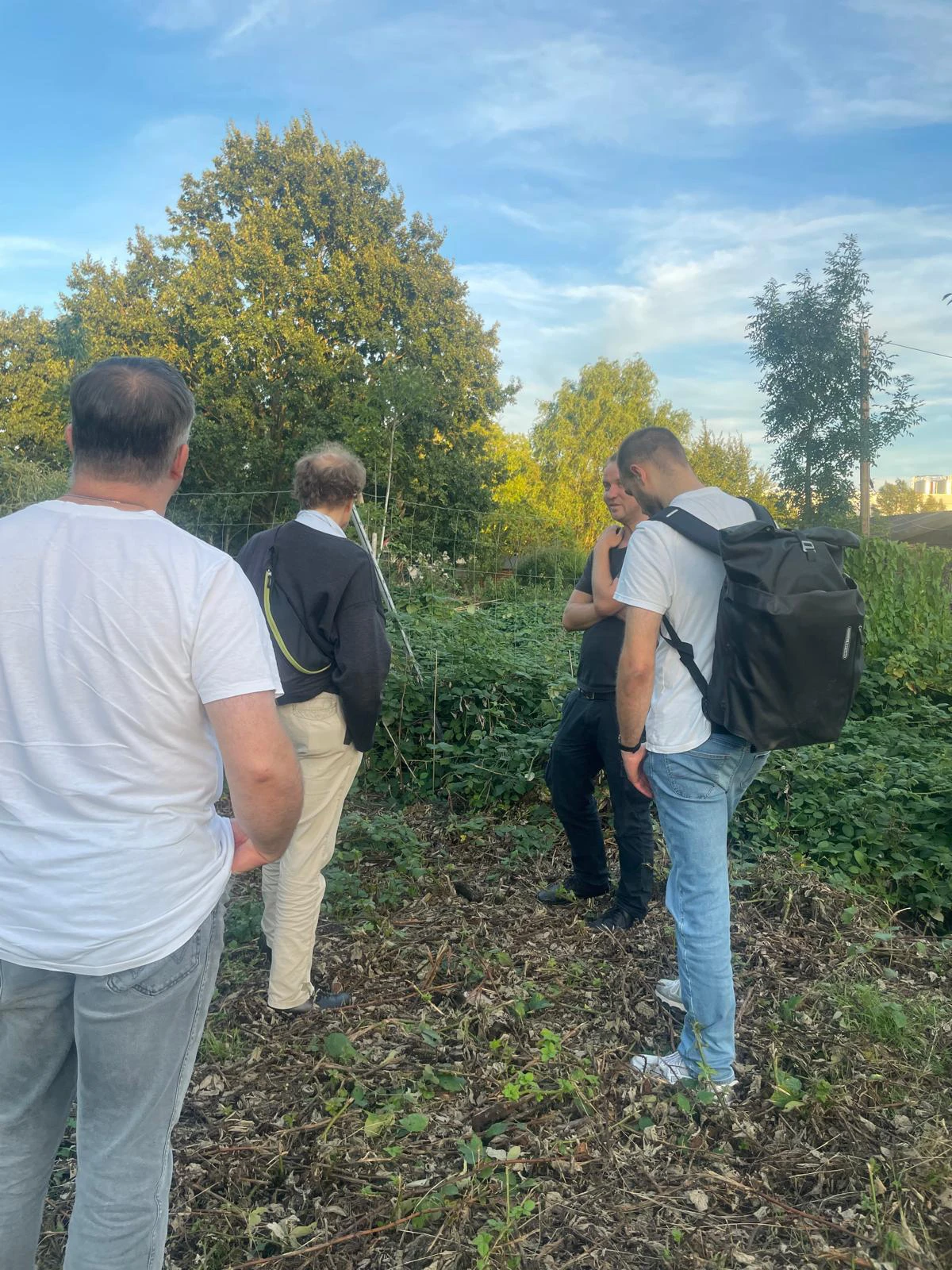 Zu sehen sind 4 Personen von hinten. Sie stehen leicht versetzt und sind umgeben von Grün.