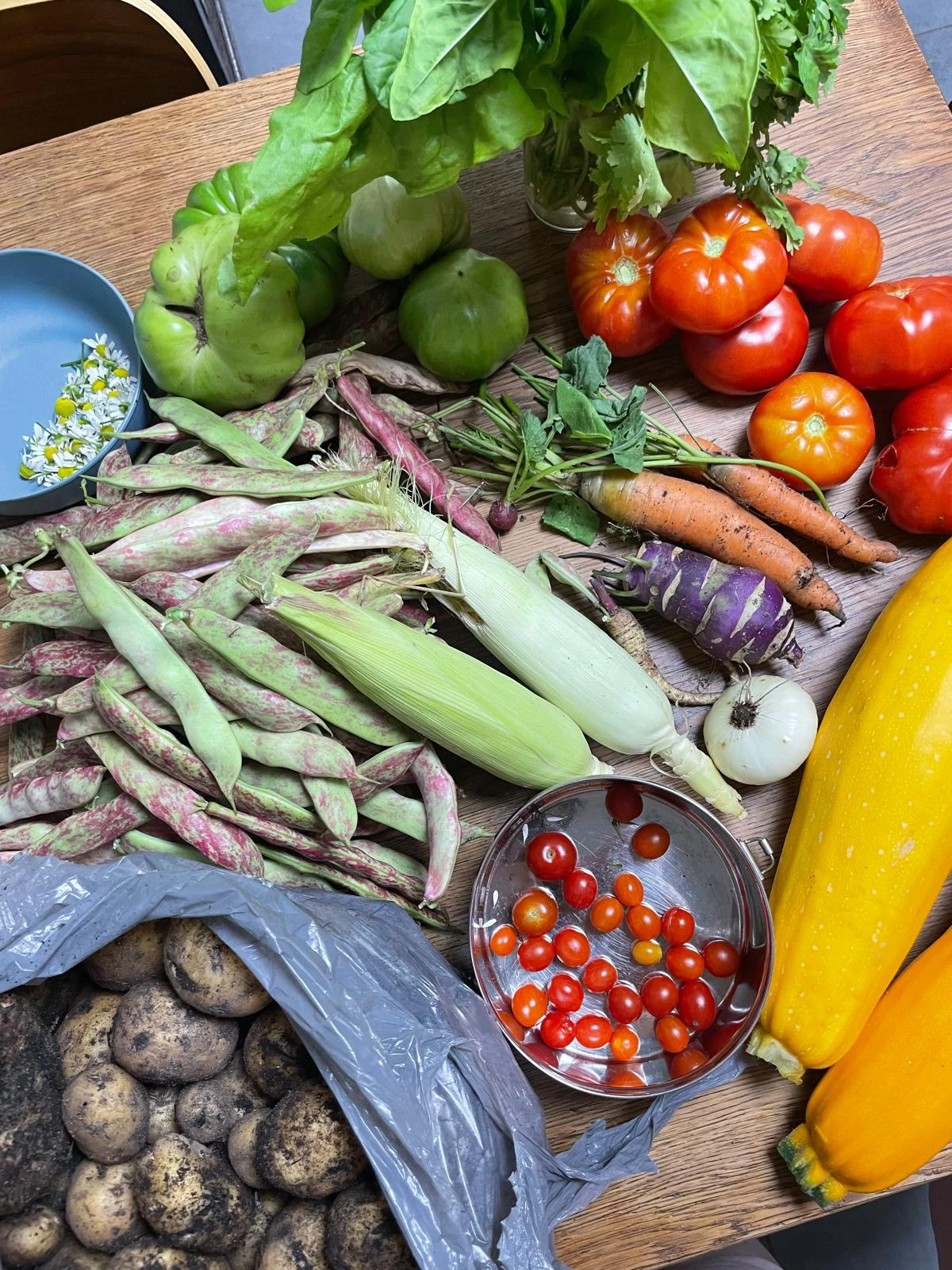 Zu sehen ist ein Tisch, auf dem verschiedenes frisches Gemüse liegt: Zucchini, Tameten, Mais, Bohnen, Kartoffeln und co.