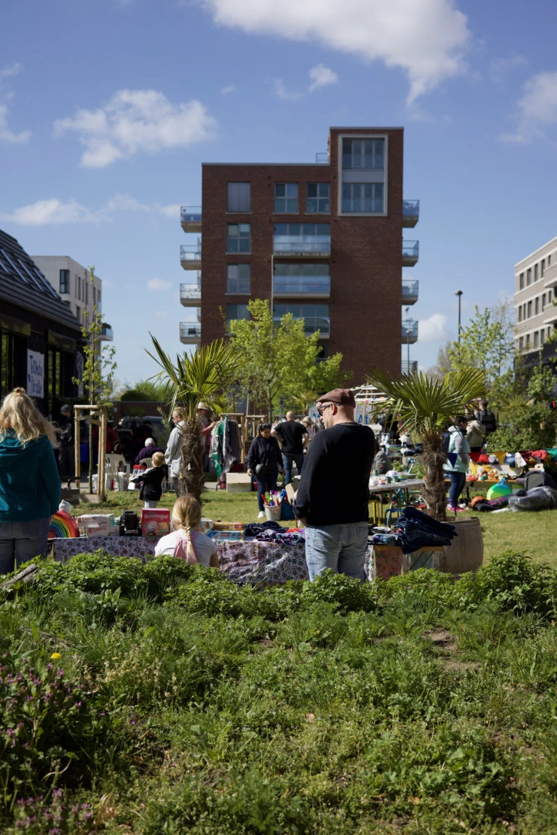 Menschen sitzen und stehen auf einer Wiese mit Palmen in Pflanzkübeln vor einem mehrstöckigen Backsteingebäude unter blauem Himmel