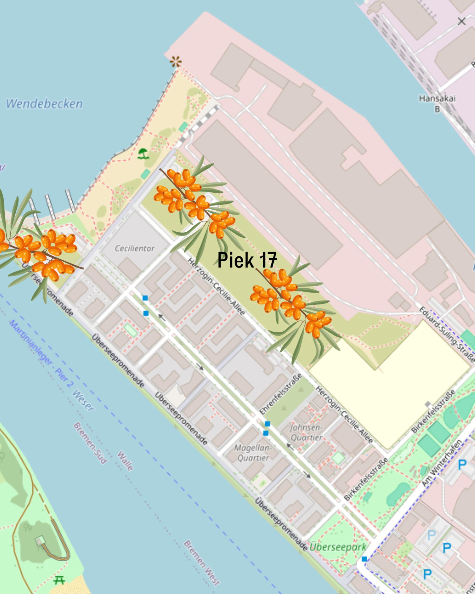 Zu sehen ist der Süd/Westlichste Teil der Überseestadt als Landkarte. Darauf sind Sanddorn Stellen eingezeichnet,in denen Sanddorn wächst (zB. Piek 17).